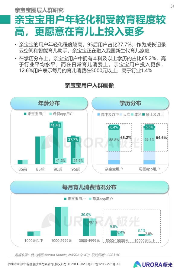 报告页面31