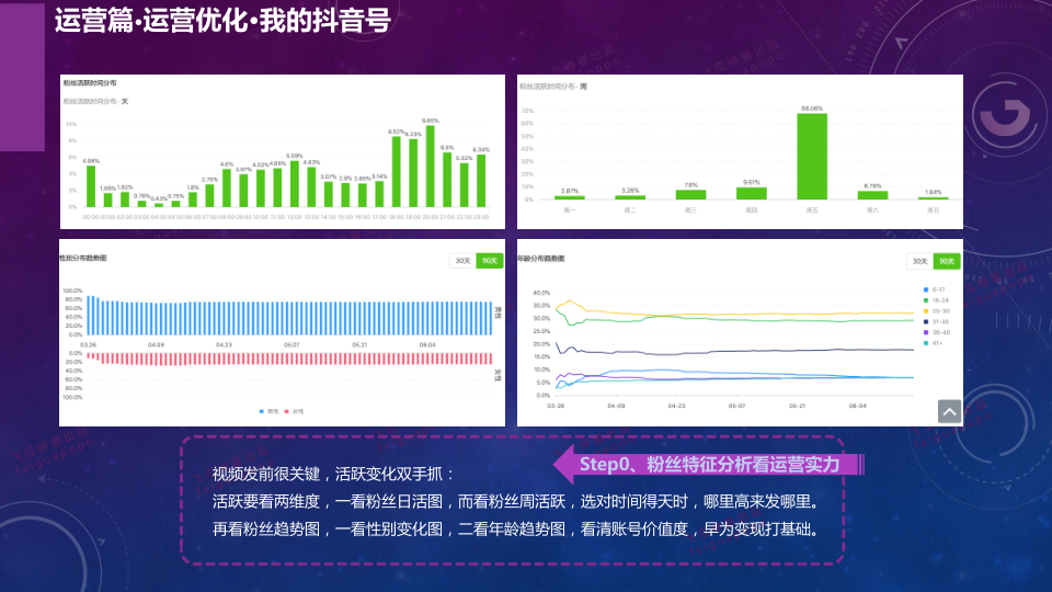 报告页面19