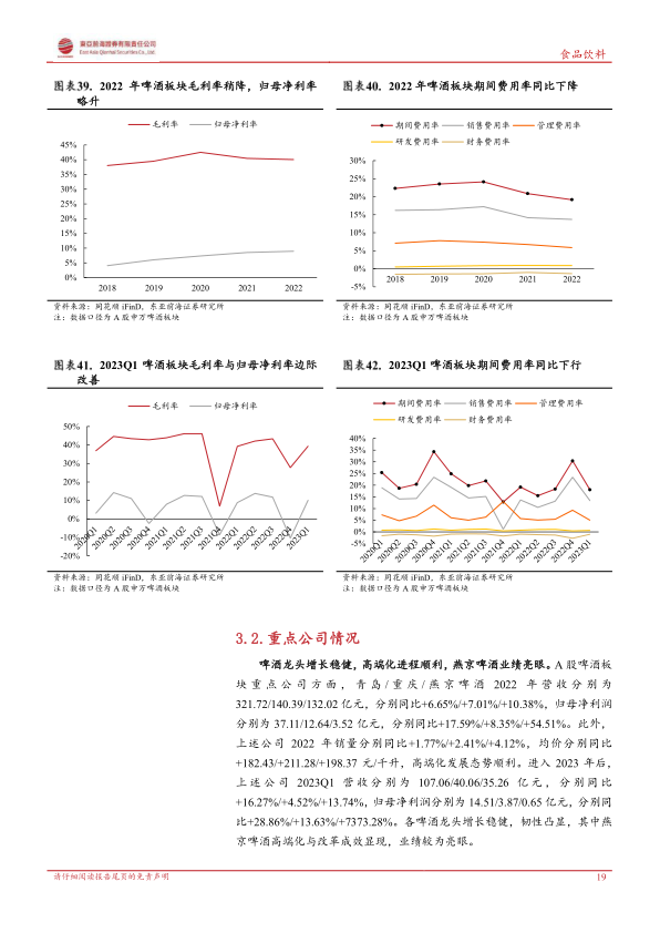 报告页面19