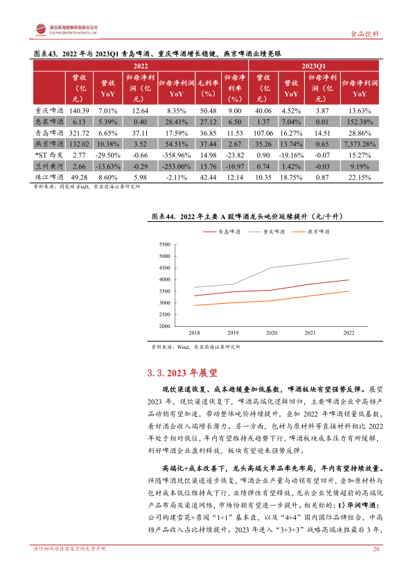 报告页面20