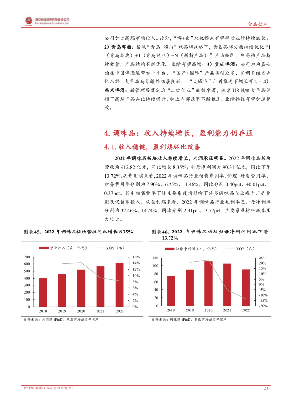 报告页面21