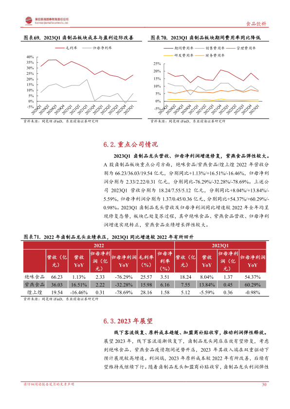 报告页面30