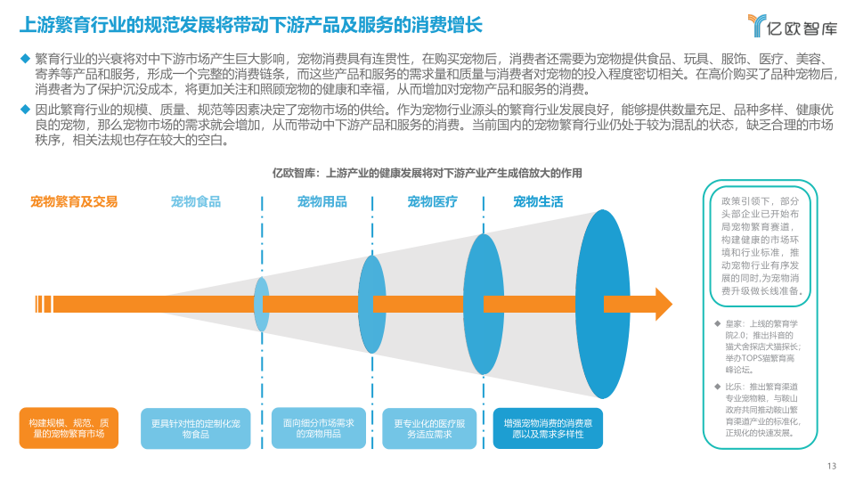 报告页面13