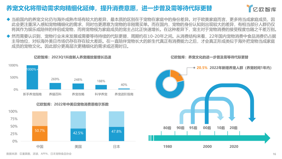 报告页面16