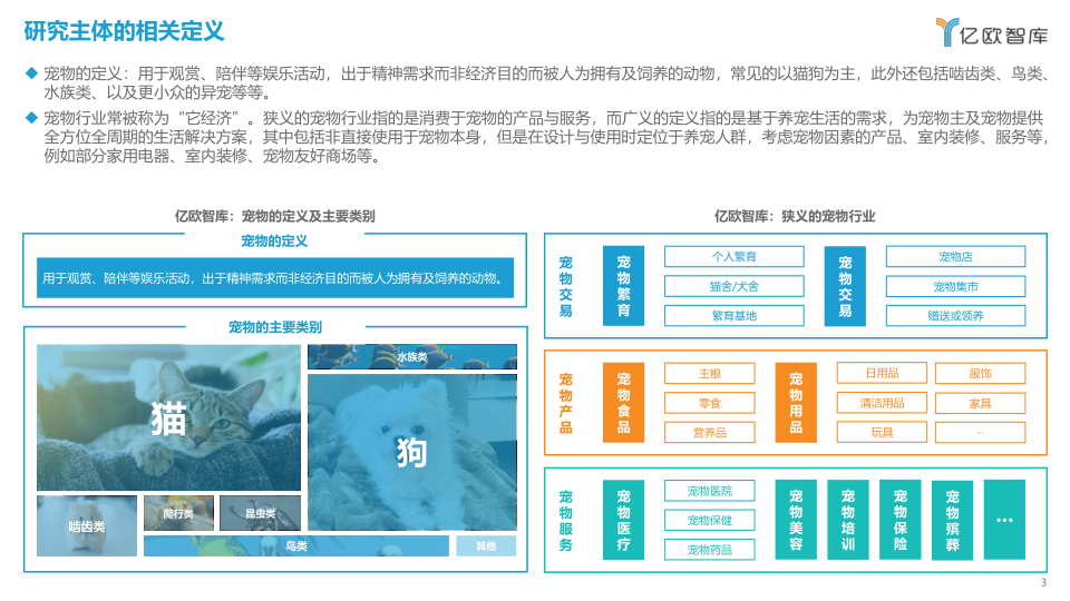 报告页面3