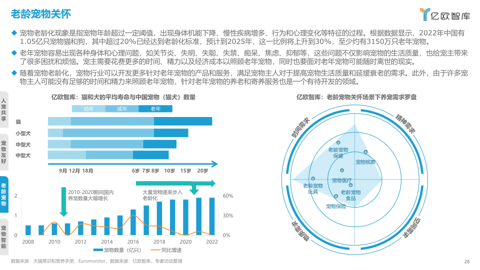 报告页面28