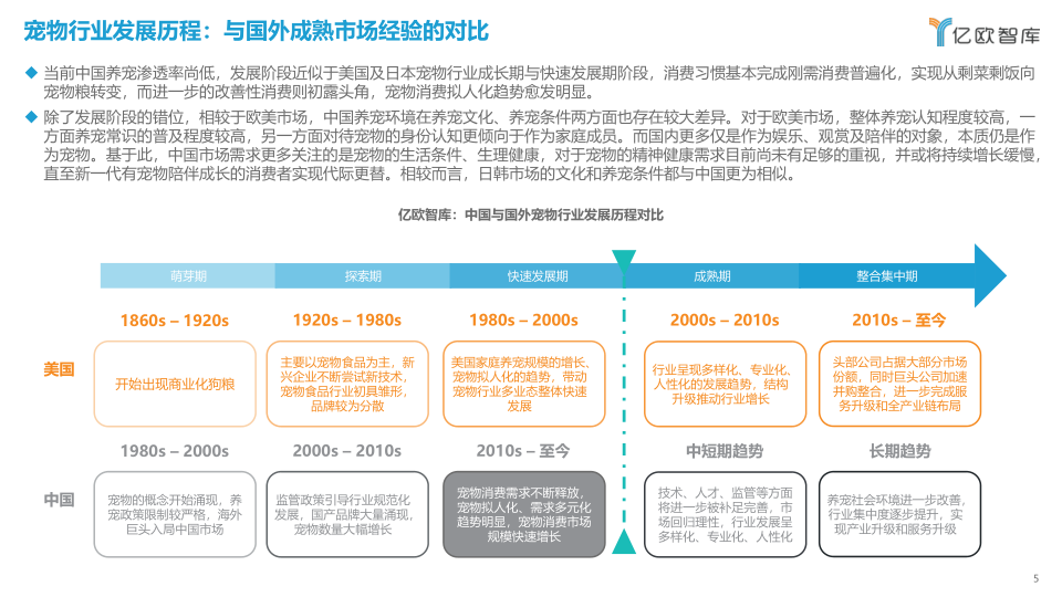 报告页面5