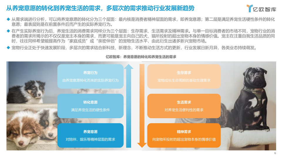 报告页面6