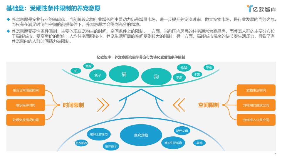 报告页面7