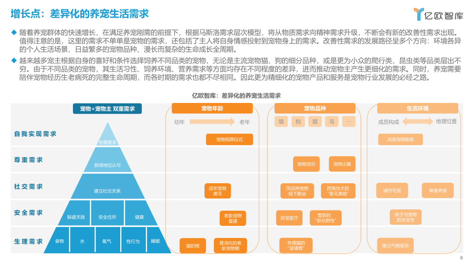 报告页面8