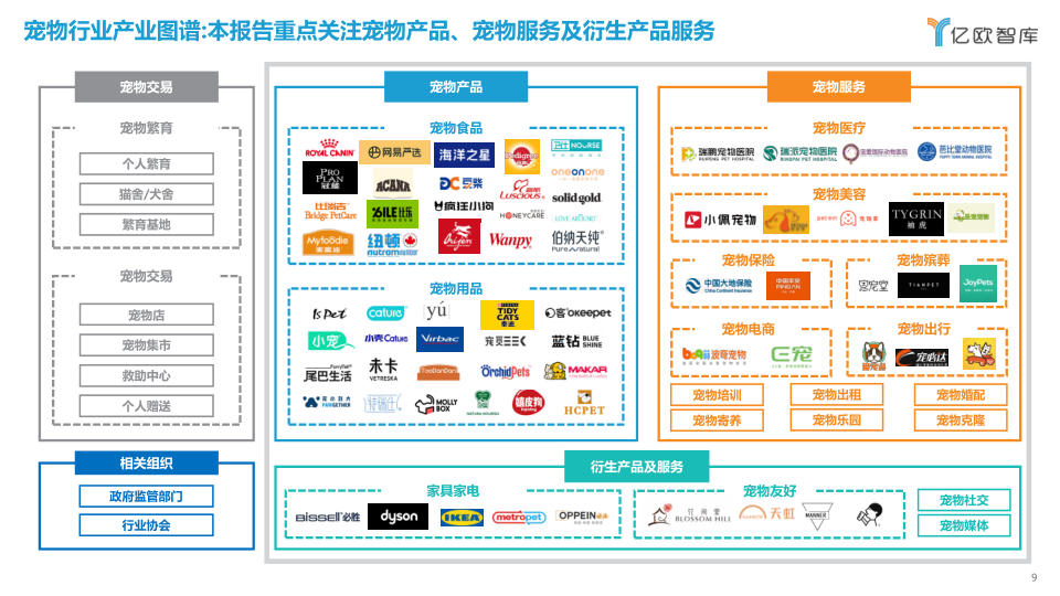 报告页面9