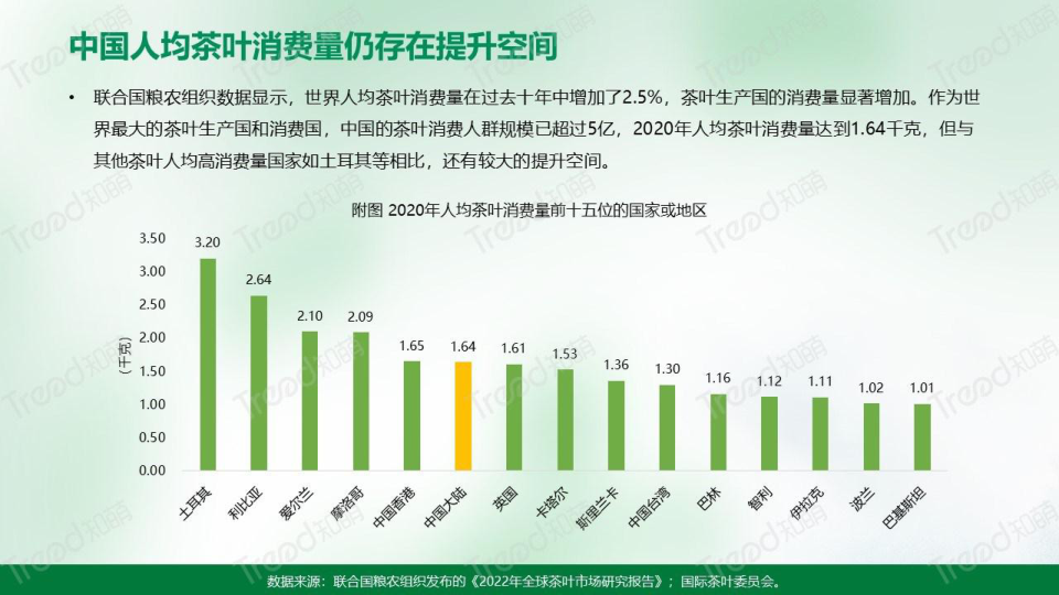 报告页面5