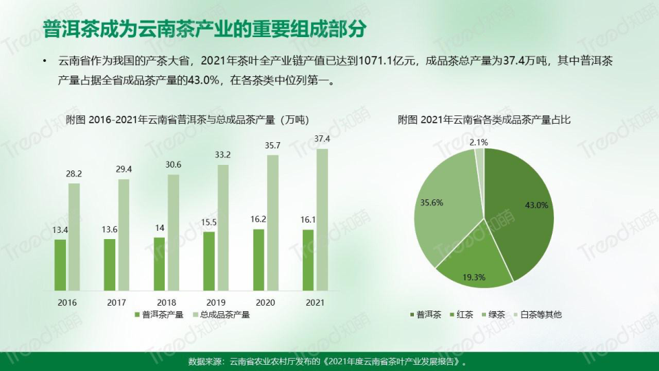 报告页面8