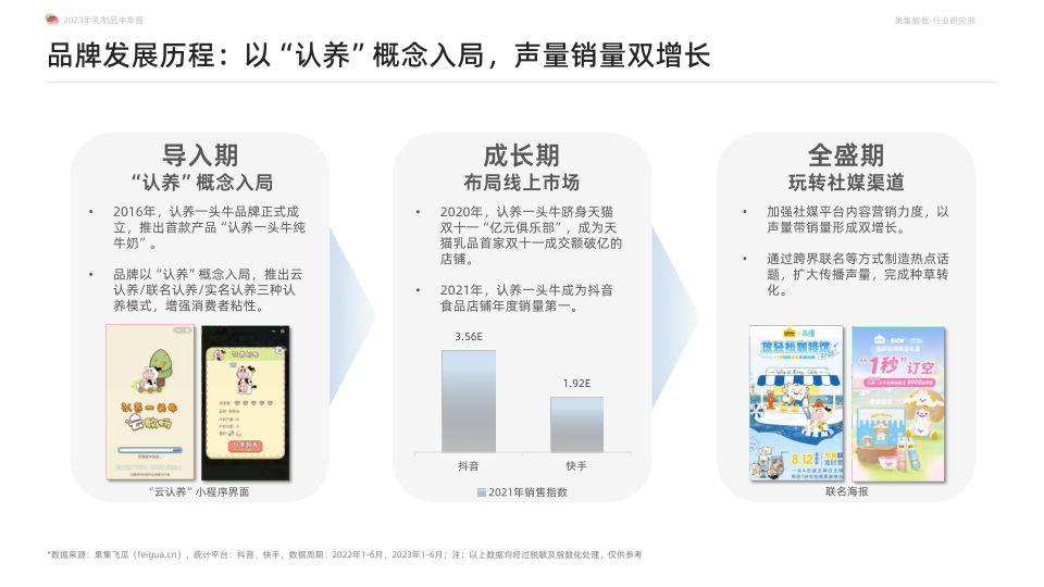 报告页面31