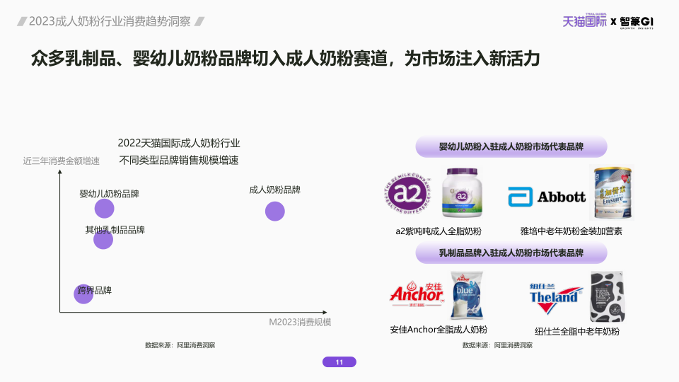 报告页面11