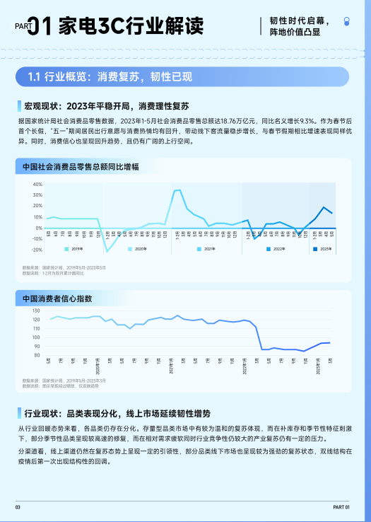 报告页面4