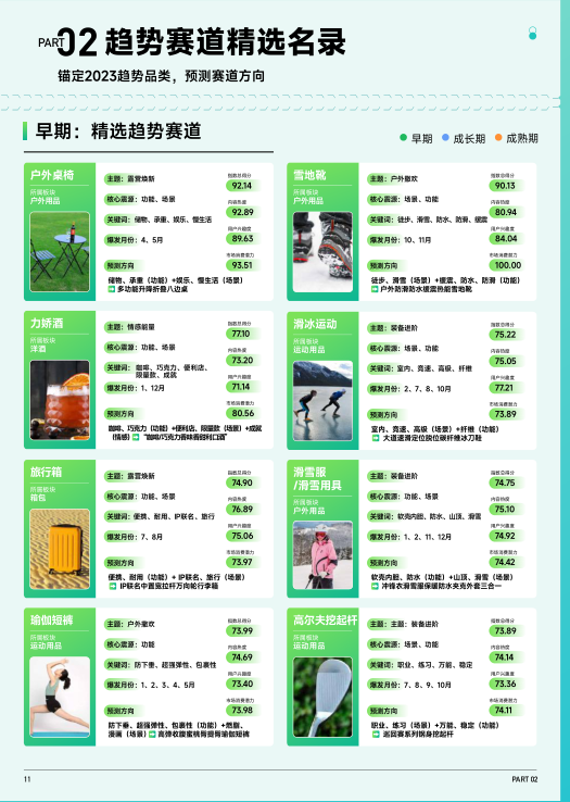 报告页面12