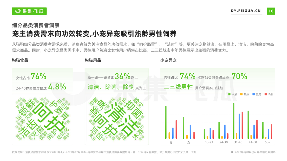 报告页面11