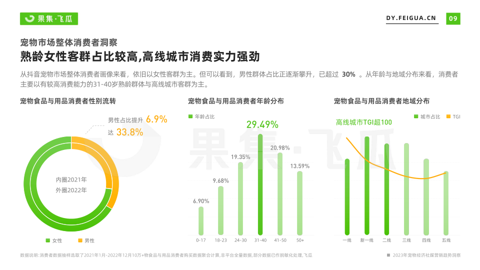 报告页面10