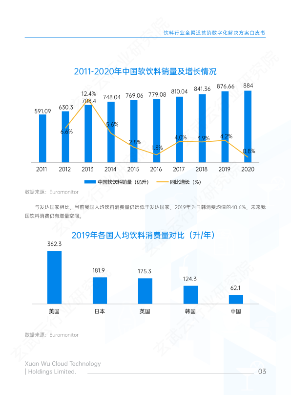 报告页面4