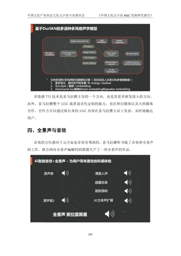 报告页面248