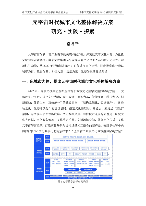 报告页面61