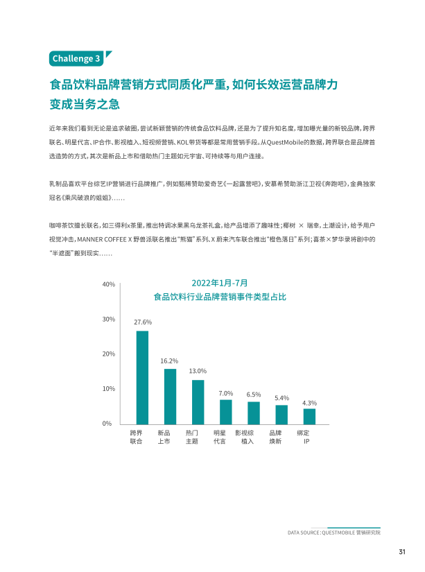 报告页面32