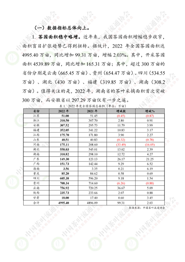 报告页面2