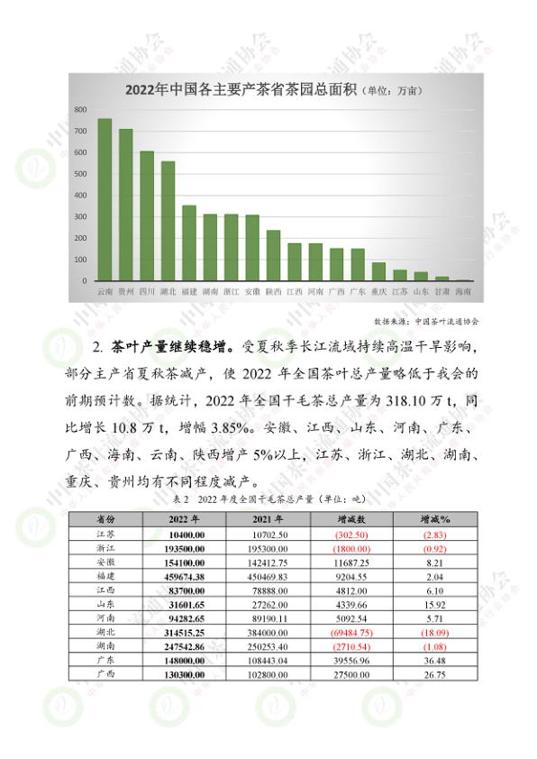 报告页面3