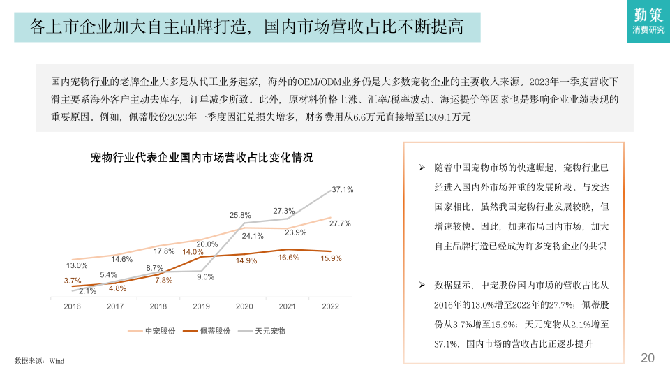 报告页面19