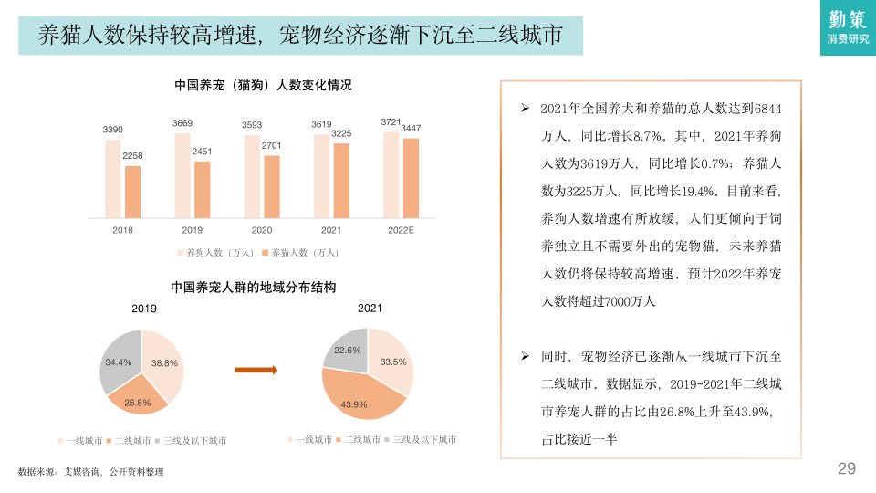 报告页面28