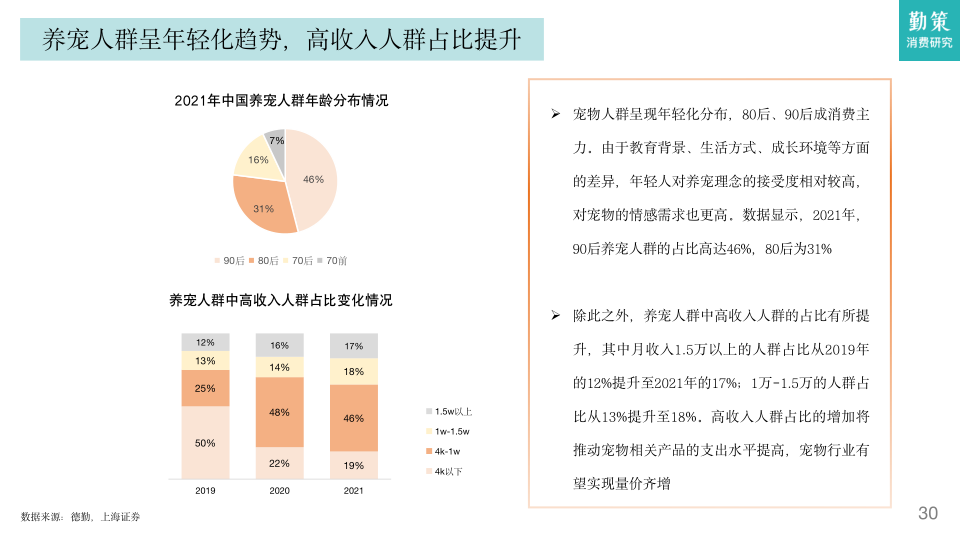 报告页面29