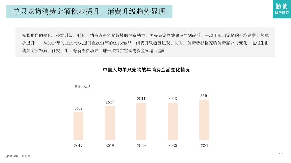 报告页面10