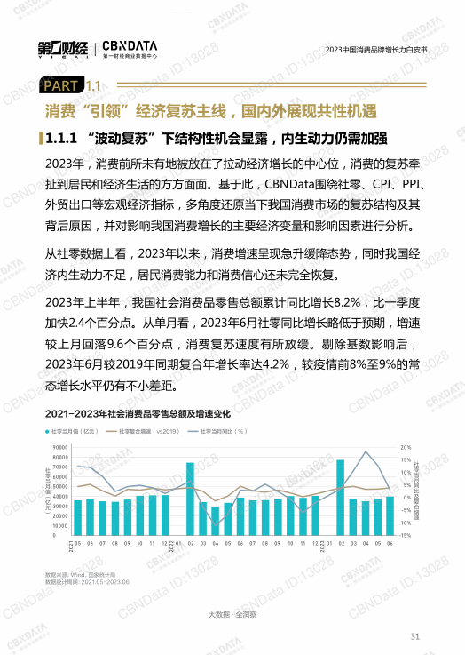 报告页面31