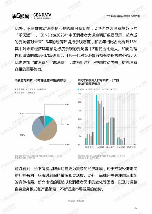 报告页面37