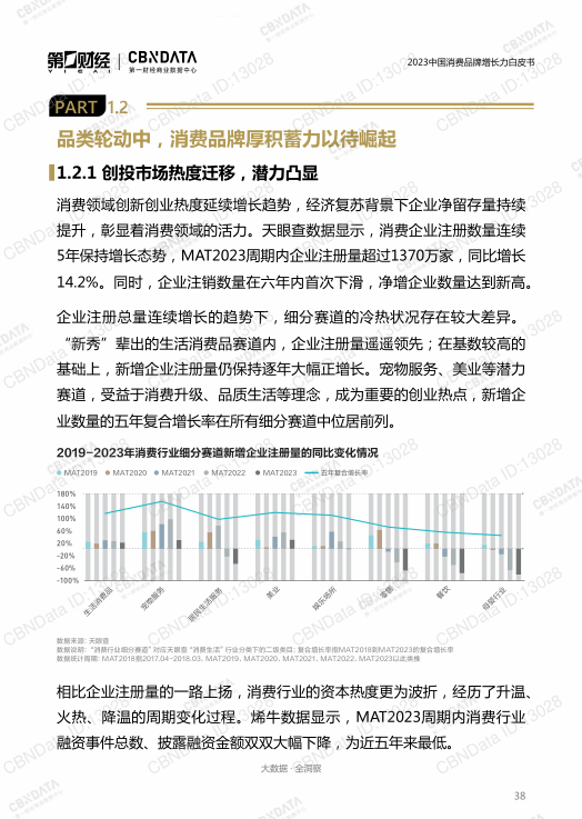 报告页面38