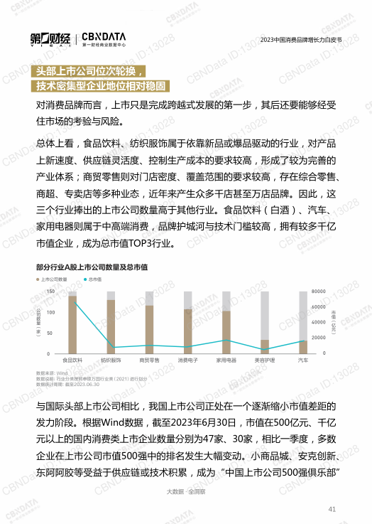 报告页面41