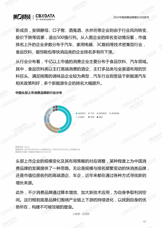 报告页面42