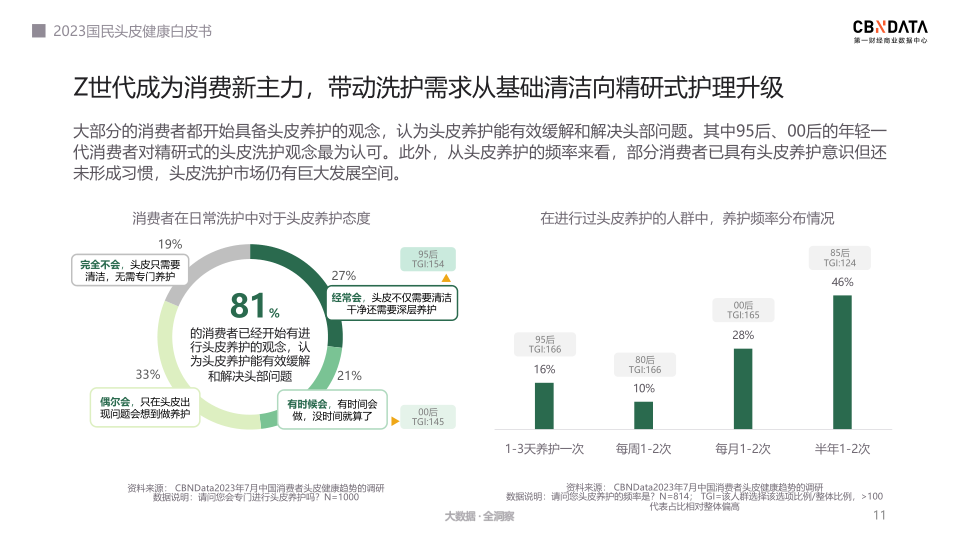 报告页面11