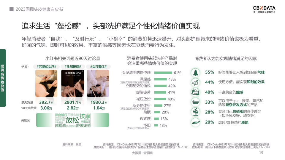 报告页面19