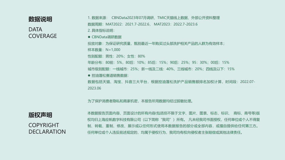 报告页面22