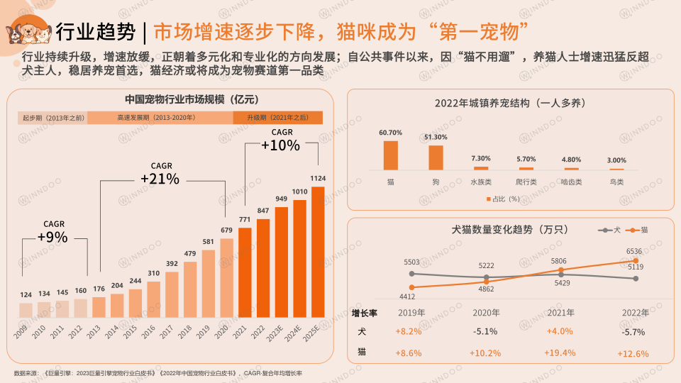 报告页面4