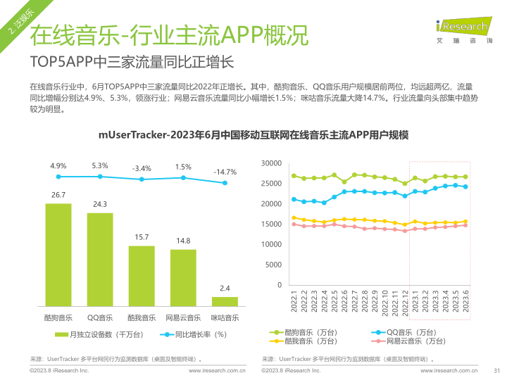 报告页面31