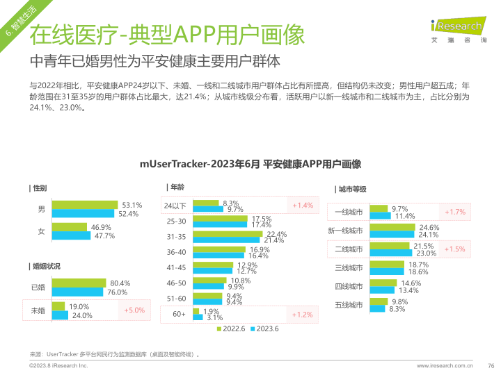 报告页面76