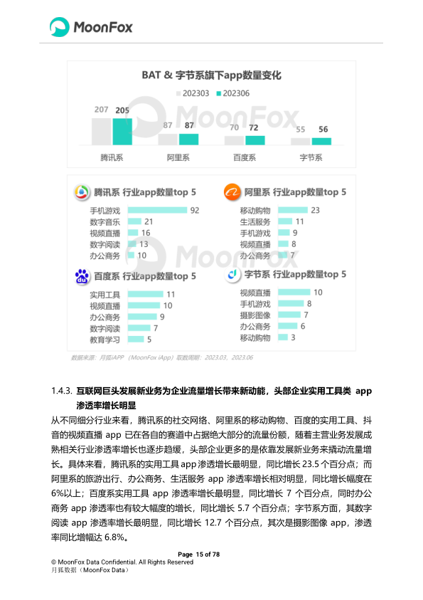 报告页面15