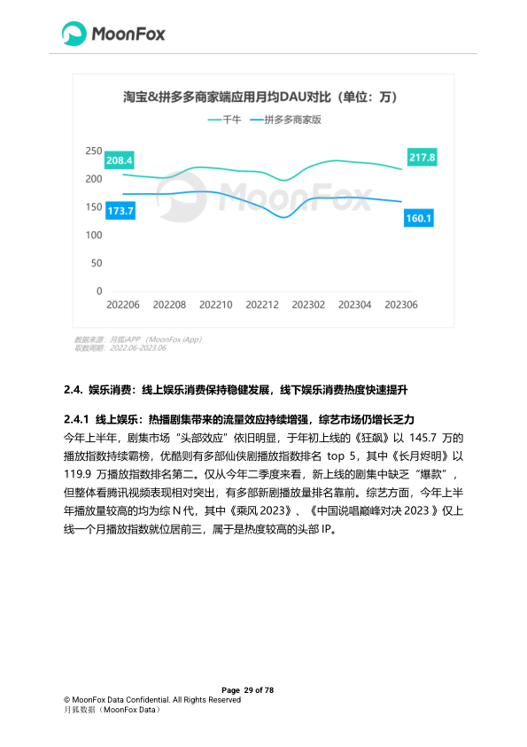 报告页面29