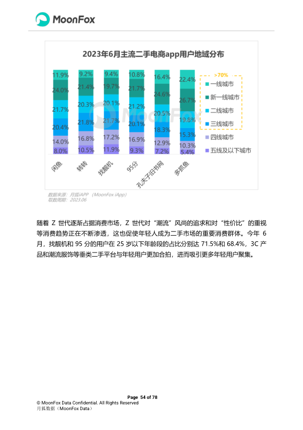 报告页面54