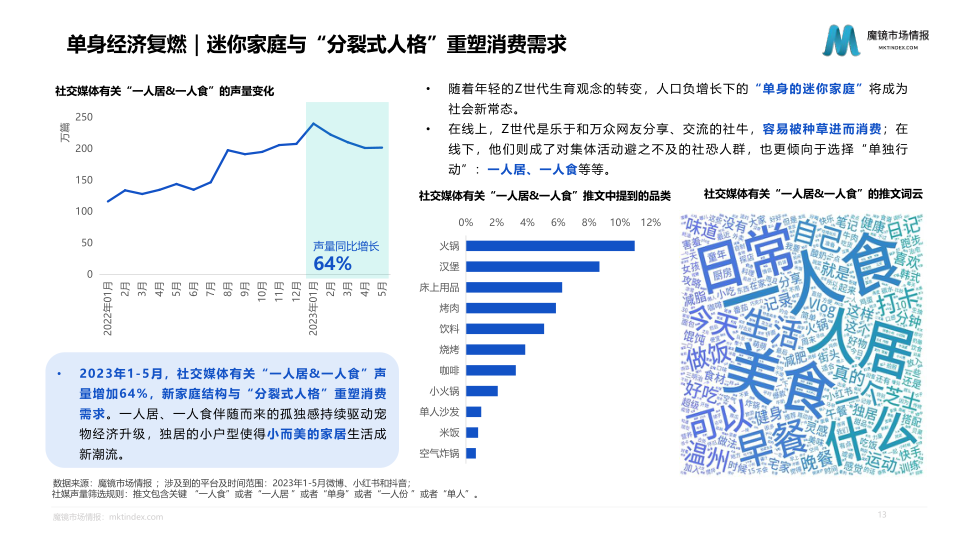 报告页面13