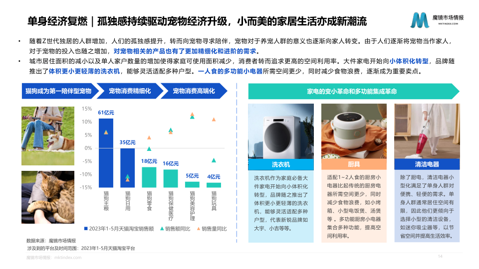 报告页面14