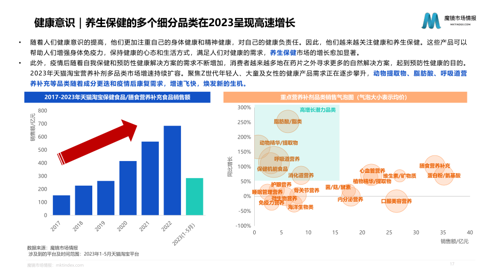 报告页面17